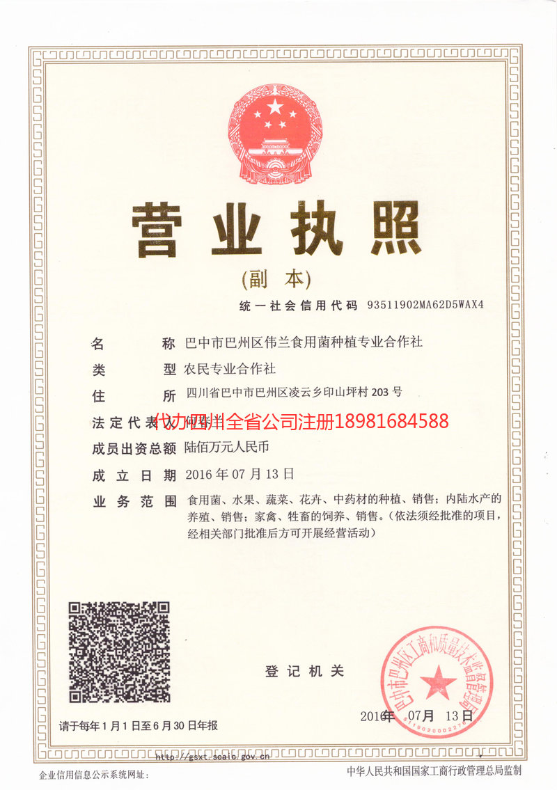 项城项城伟兰食用菌种植专业合作社